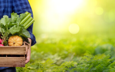 What Is Health Reform?